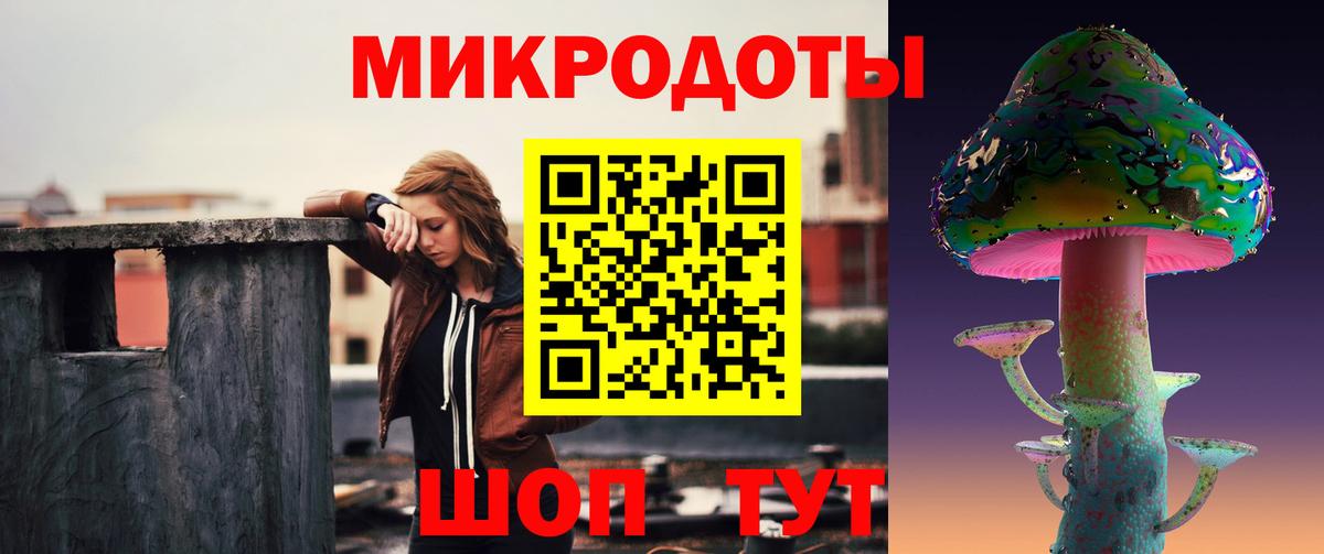Галлюциногенные грибы Cubensis Тимашёвск
