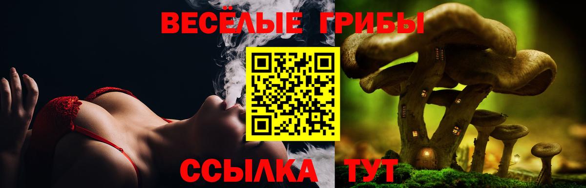 Тимашёвск  Псилоцибиновые грибы ЛСД  Вход с VPN 